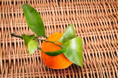 Tangerine Stock Photos