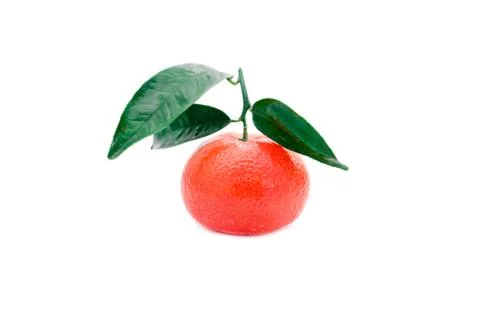 Tangerine Stock Photos