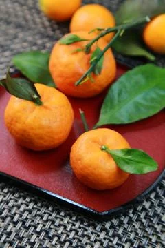 Tangerine Stock Photos