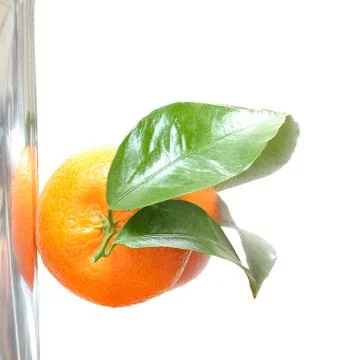 Tangerine Stock Photos