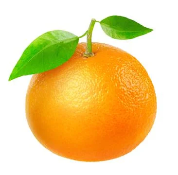 Tangerine Stock Photos