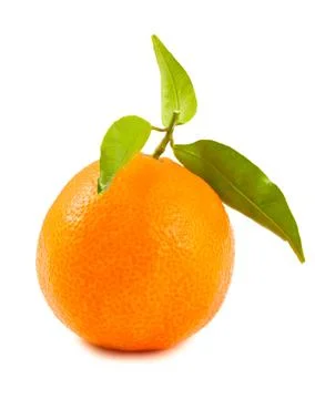 Tangerine Stock Photos