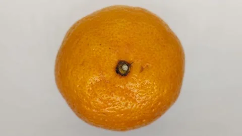 Tangerine spinning on a white background Stock Footage 167026242