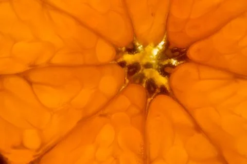 Tangerine texture Stock Photos