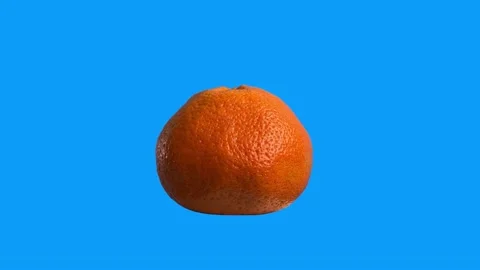 Tangerine turning on blue screen Stock Footage 219724653