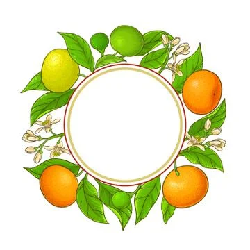 Tangerine vector frame Stock Illustration