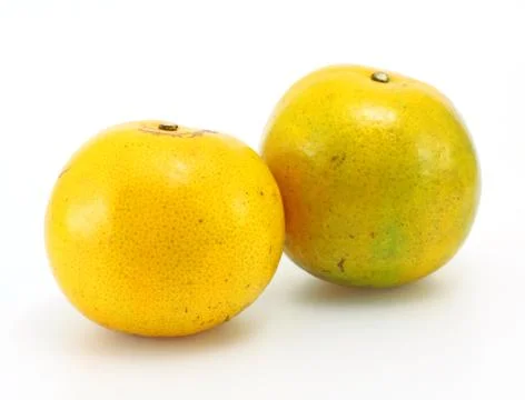 Tangerine on white background Stock Photos