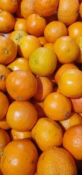 Tangerines (4) Stock Photos