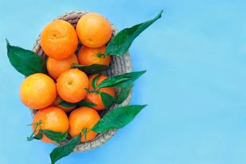 Tangerines on blue background Stock Photos