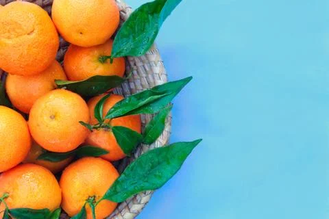 Tangerines on blue background Stock Photos