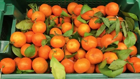 Tangerines in a box 스톡 동영상 259386128