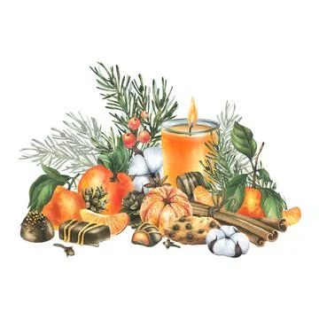 Tangerines with cotton, pine branches and cones, sweets, candle and spices Stock Illustration