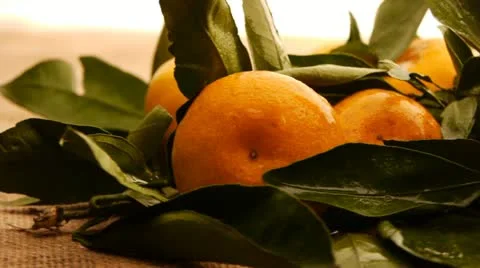 Tangerines Stock Footage 12529867