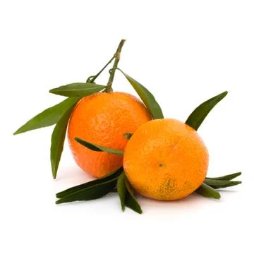 Tangerines Stock Photos