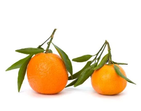 Tangerines Stock Photos