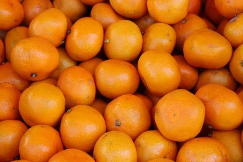 Tangerines Stock Photos