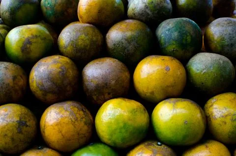 Tangerines Stock Photos