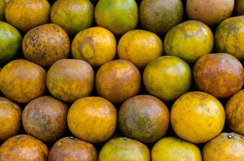 Tangerines Stock Photos