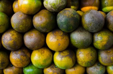 Tangerines Stock Photos