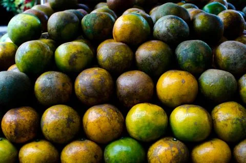 Tangerines Stock Photos