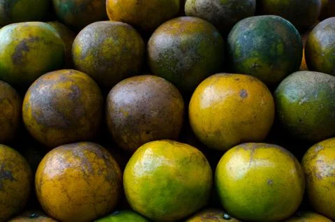 Tangerines Stock Photos