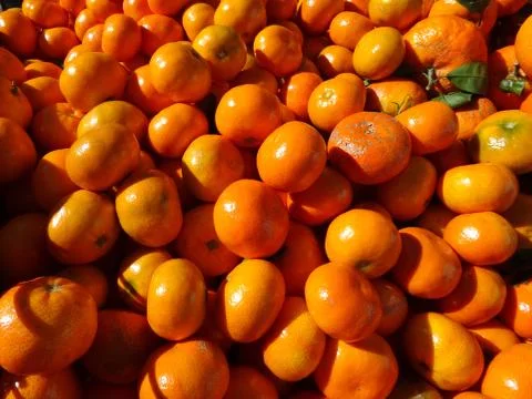 Tangerines Stock Photos