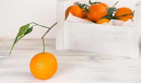 Tangerines Foto stock