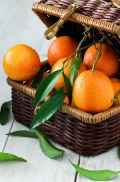 Tangerines in rustic basket Stock Photos