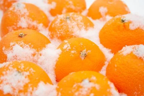 Tangerines in the snow Stock Photos