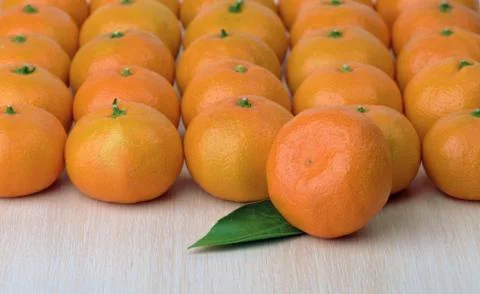 Tangerines stacked Stock Photos
