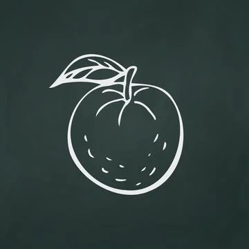 Tangerines thin white lines on a textural dark background - Vector Stock Illustration