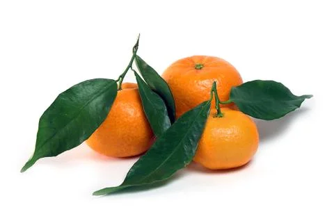 Tangerines on a white background Stock Photos