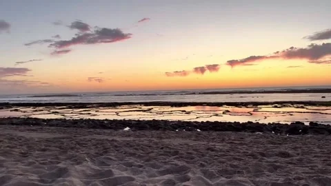 Tangier Sunset Beach Ocean Reflection Cat Cinematic Scene Stock Footage 333864271