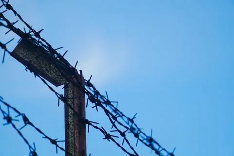 Tangle of barbed wire against the blue sky, In general, barbed wire is used.. Stock Photos