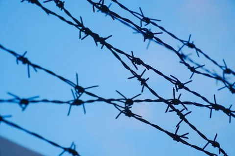 Tangle of barbed wire against the blue sky, In general, barbed wire is used.. Stock Photos