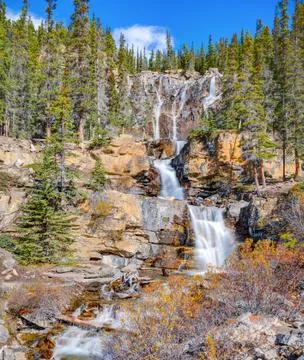 Tangle Creek Fall Stock Photos