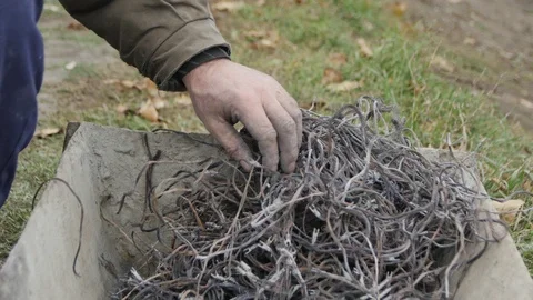A Tangle of Metal Wires 스톡 동영상 105264275