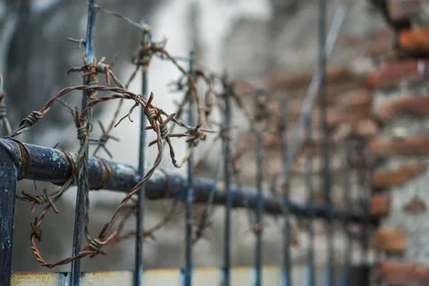 A tangle of rusty barbed wire around the iron fence Stock Photos