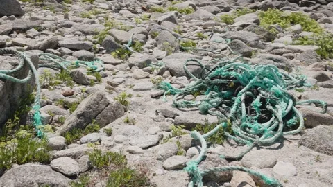 Tangled and abandoned, plastic ropes on a rocky beach Видео 289291363
