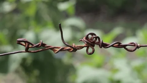 Tangled and rusty clothesline Video stock 239885203