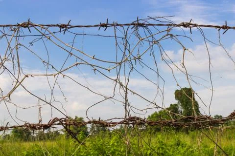 Tangled barbed wire and blue sky Stock Photos