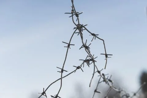 Tangled barbed wire. focus with shallow depth of field. closeup Stock Photos