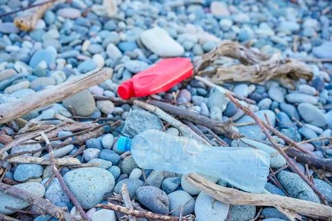 Tangled Branches Amid Beach Plastic Litter Stock Photos