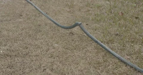 Tangled garden hose moving through the grass Stock Footage 150979552