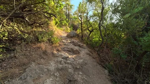 Tangled roots and dry grass line ancient stone walls. Milos Beach Lefkada Greece Stock Footage 344029072