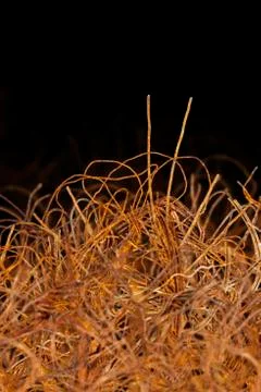 Tangled rusty wire Stock Photos
