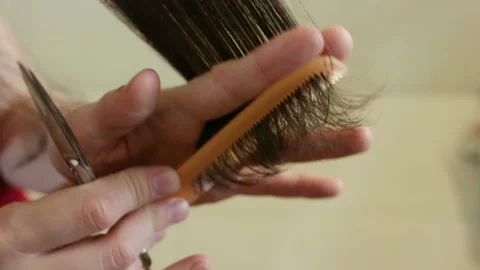 Tangled, split ends of hair stuck in the comb. Hands, a lock of hair, comb and s Stock Footage 91513232