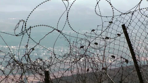 Tangled strands of razor barbed wire Stock Footage 48911879