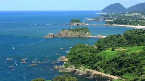 Tango Matsushima Vídeo Stock 330588717