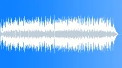 Tango Theodorus - violin (dramatic acoustic music) Stock Music
